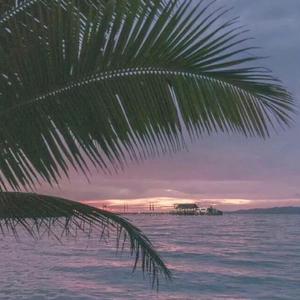 美女啪啪动态图
