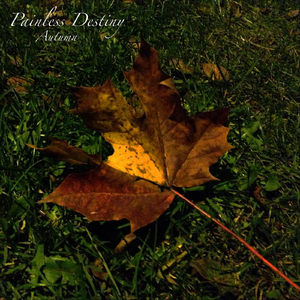 美女啪啪动态图
